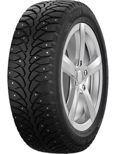 Шина Tunga NORDWAY 2 205/55 R16 94Q